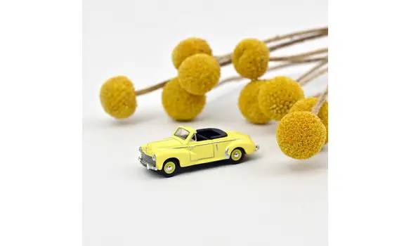 Peugeot 203 cabriolet 1952 Sulphur Yello