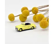 Peugeot 203 cabriolet 1952 Sulphur Yello