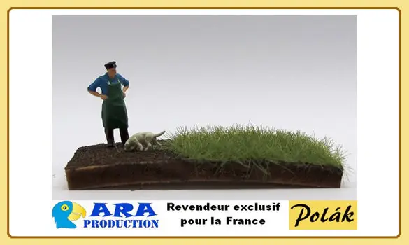 Herbe statique 4,5mm - herbe grasse