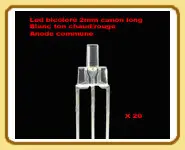 20 leds bicolore BTC/rouge 2mm canon