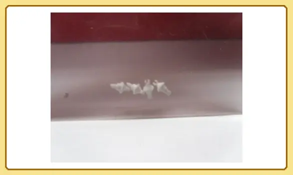 1 isolateur BB9200 Roco